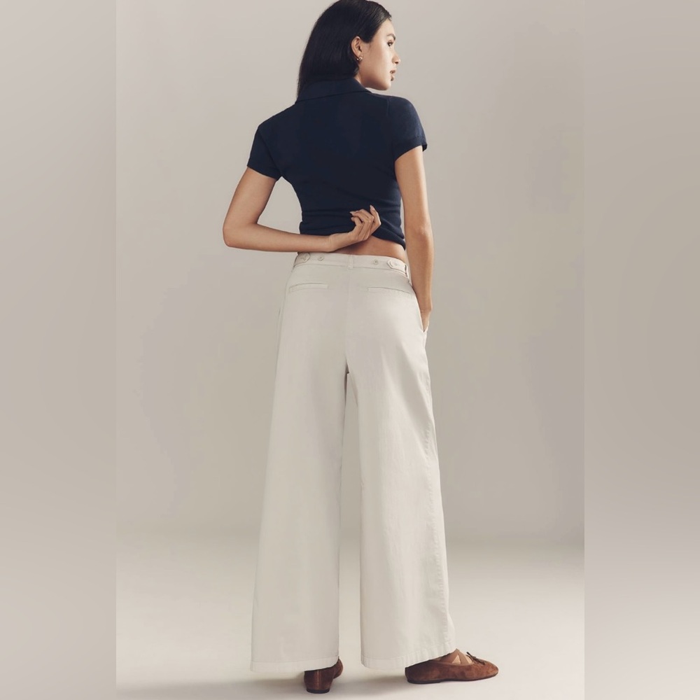 Anthropologie Low Rise Pleated Wide Leg Trousers In: Vaporous Gray - Picture 4 of 7